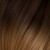 6/27. Light Brown / Tobacco Blond