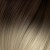 8/1004 O. Natural Dark Blond / Ultra Light Platinum Blond